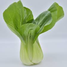 Cavolo Pak-choi Biologico
