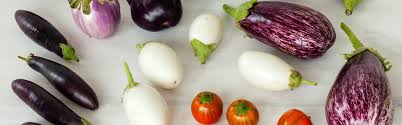 Mix di Melanzane Biologiche