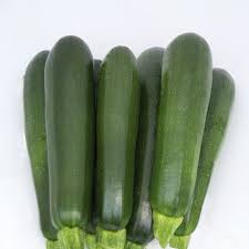 Zucchina Scura Biologica