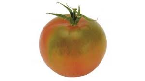 Pomodoro tondo da insalata BIOLOGICO