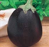 Melanzana tonda nera
