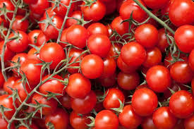 Pomodorini Mix varietà Biologici