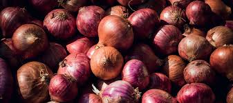 Cipolla Rossa Biologica