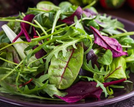 insalata misticanza