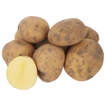Patata Gialla Biologica