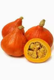 Zucca Hokkaido
