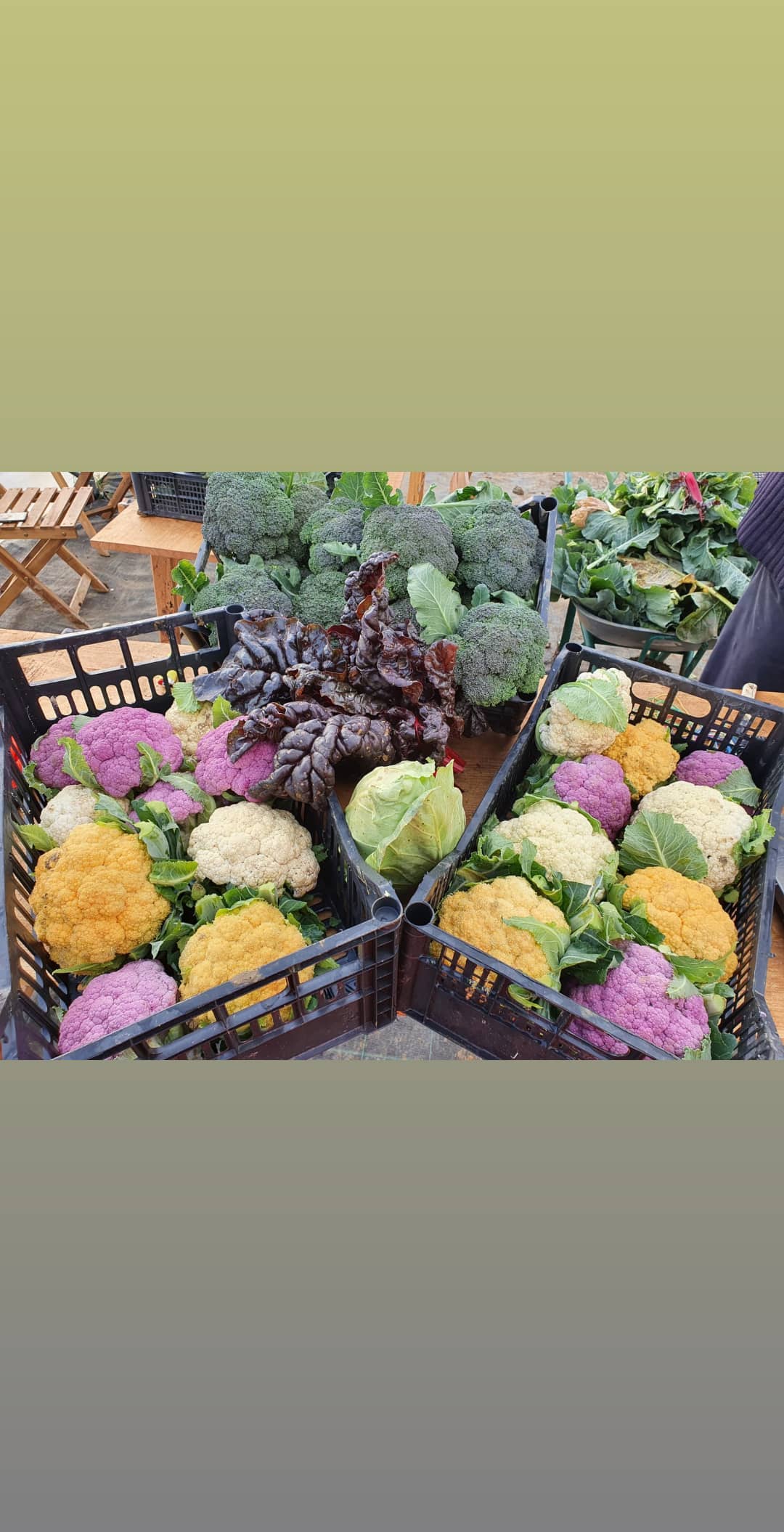 Cassetta Mista di Verdura