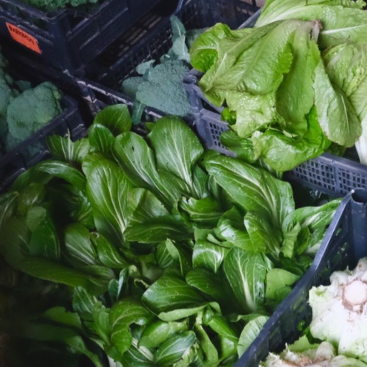 Cassetta Mista di Verdura