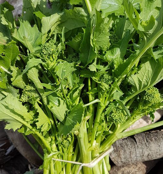 Cime di rapa a foglie Biologico