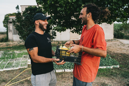 Cassetta Mista di Verdura