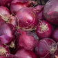Cipolla Rossa Biologica