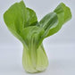 Cavolo Pak-choi Biologico