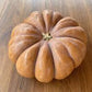 Pezzo di Zucca Moscata di Provenza Biologica