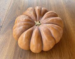Pezzo di Zucca Moscata di Provenza Biologica