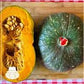 Zucca Delica Biologica