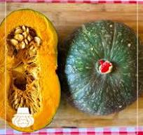Zucca Delica Biologica