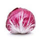 Radicchio Tondo Biologico PRIMIZIA