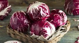 Radicchio Tondo Biologico PRIMIZIA