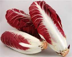 Radicchio Treviso Biologico PRIMIZIA