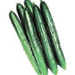 CETRIOLO BIOLOGICO