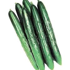 CETRIOLO BIOLOGICO