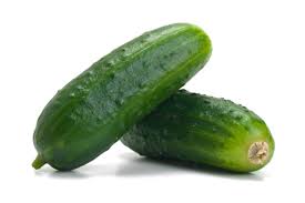 CETRIOLO BIOLOGICO