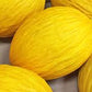 Melone Giallo Biologico