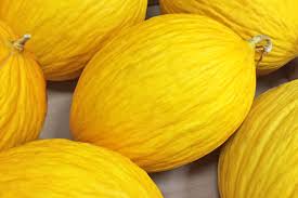 Melone Giallo Biologico