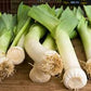 Mazzetto di Porri Biologico