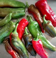 Peperone Figitello Verde Biologico