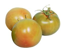 Pomodoro tondo da insalata BIOLOGICO