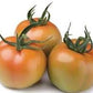 Pomodoro tondo da insalata BIOLOGICO