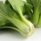 Cavolo Pak-choi Biologico