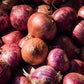 Cipolla Rossa Biologica