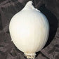 Cipolla Bianca Biologica
