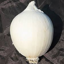 Cipolla Bianca Biologica