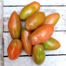 Pomodoro San Marzano da Insalata Biologico
