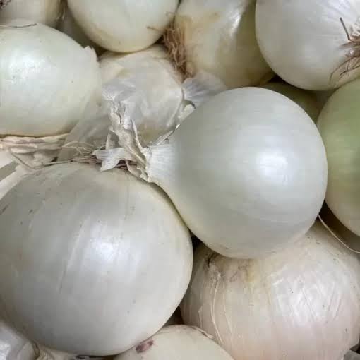 Cipolla Bianca Biologica