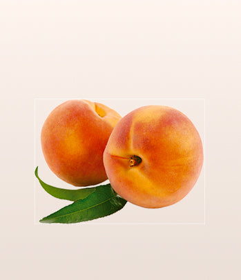 Pesche Biologiche