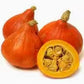 Zucca Hokkaido